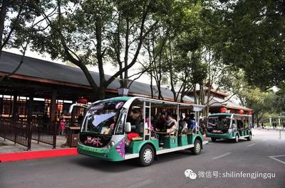 石林榮膺省市名牌產品稱號，旅行社服務網點助力旅游招徠